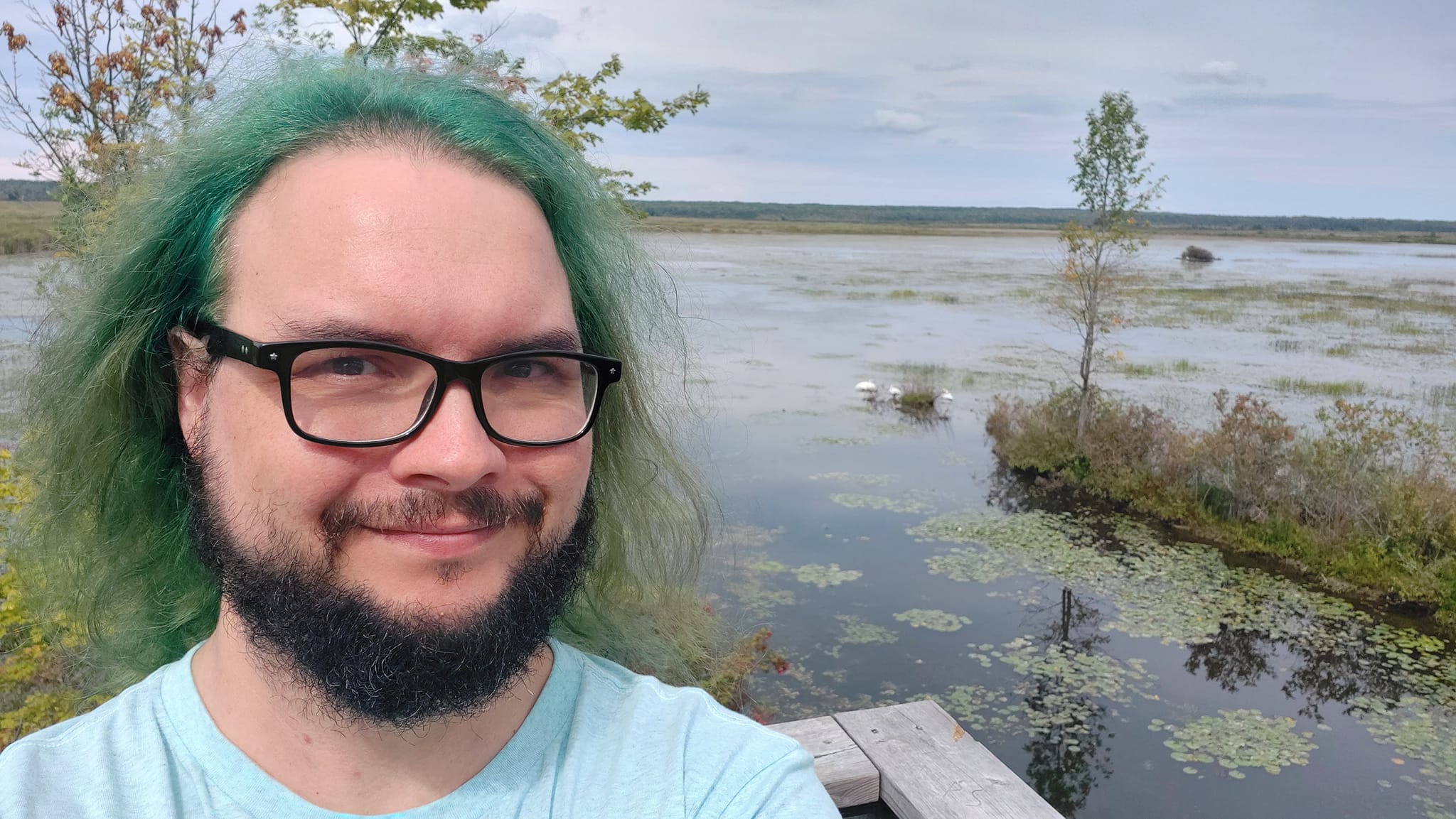 A man with green hair stands in front of some swimming swans, Photo 5